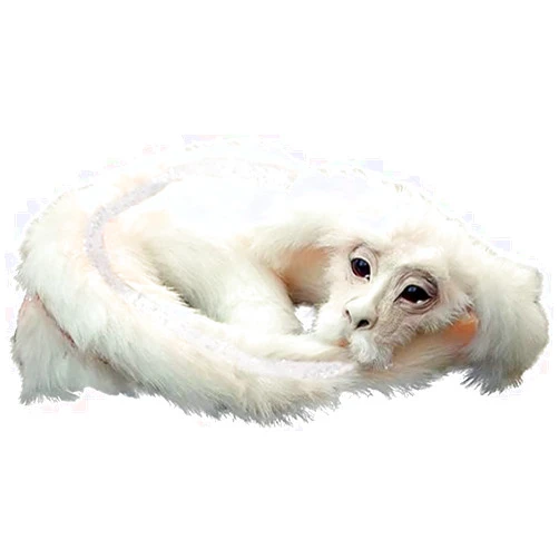 HAZTT Animal Dragons Plush Toys,Falcore Luck Dragon Plush, Falkor from The Neverending Story Handmade Plush Toy, Luck Dragon Neverending Story,Gift for Christmas Birthday Halloween Party (Dragon)