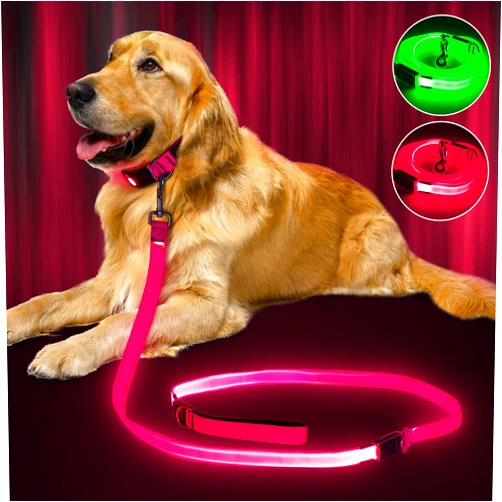 Bpawser LED Dog Leash Light Up Dog Leash 6 Feet Micro USB Rechargeable Nylon Webbing Glow Safety Standard Dog Leash for Dogs by Bpawser (Pink)