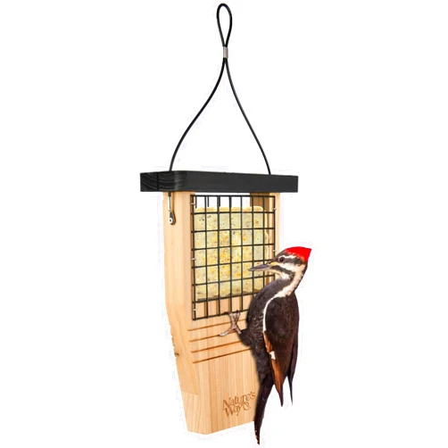 Nature's Way Bird Products CWF1 Tail-prop Suet Bird Feeder 12