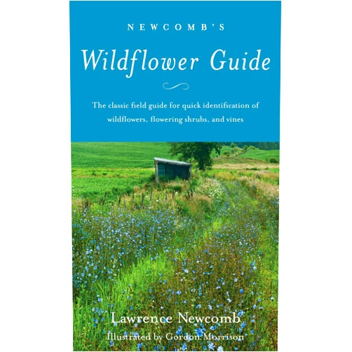 Lawrence Newcomb,Gordon Morrison Newcomb's Wildflower Guide