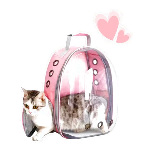 Mrichltm Cat Backpack Bubble, Cats and Dogs Pet Carrier Hard, Suitable for Cats Traveling Cat Bag Carrier, Transparent Outdoor Waterproof Spacecraft Pet Backpack Carrier(Pink)