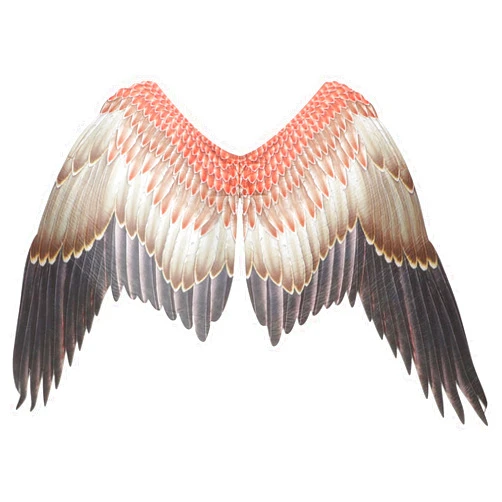 NUOBESTY 3D Angle Wing Large Eagle Bird Costume Wing Adult Angel Wing Costumes for Halloween Party Cosplay Performance Mardi Gras 1Pc