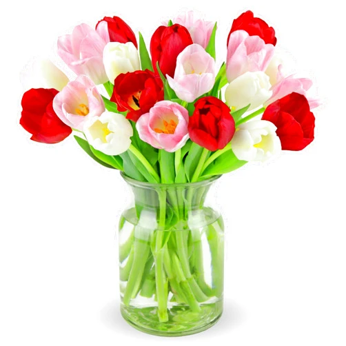 Benchmark Bouquets - 20 Stem Seasonal Tulips (Glass Vase Included) - Fresh Flowers for Next Day Delivery - Gift for Birthday, Anniversary, Get Well, Congratulations, Valentine's Day