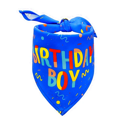 Lcekterur Birthday Boy Dog Bandana, Printed Dog Bandana Pet Scarf Dog Birthday Party Supplies for Dogs Pet Accessories for Dog Lovers Reveal Ideas