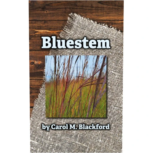 By Carol M. Blackford (Author) Bluestem