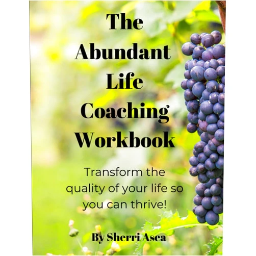 By Sherri Lynn Asea (Author) The Abundant Life Coaching Workbook: Transform the quality of your Christian life so you can thrive!