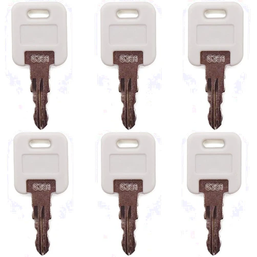 Wretesr Keys for RV Motorhome Trailer Camper Door Lock, 6PCS G391 Key for RV Storage Compartment Cabinets Bins Doors Lock, Replacement for Global Link FIC Lippert Components Montana Trailers