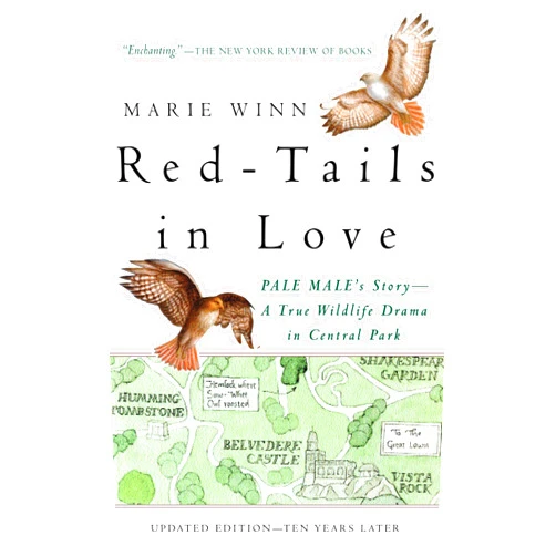 By Marie Winn (Author) Red-Tails in Love: A Wildlife Drama in Central Park (Vintage Departures)