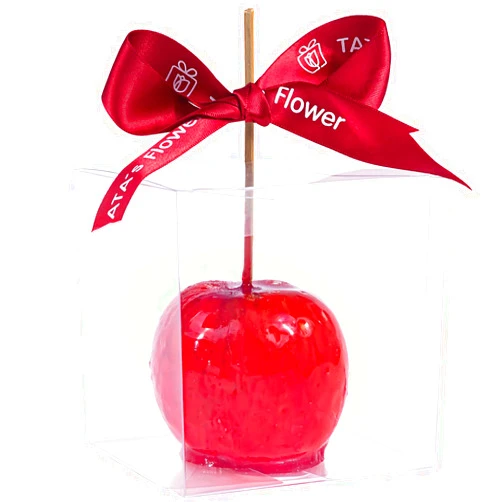HAOHAN Clear Candy Apple Boxes with Hole 4