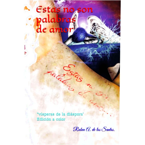 Ruben Santos Garcia,Elieser López Cabezas Estas no son palabras de amor: Edición a color (Spanish Edition)
