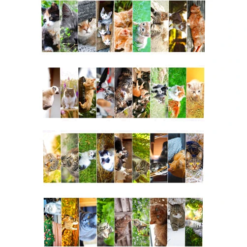 Livin Harmony Cool Cute Cat Bookmarks for Book Lovers 36 Pack - Bookmarks for Kids Bulk - Purrfect Book Mark Gift for Cat Lovers - Bookmarks for Women, Teens & Men - Classroom Rewards for Students