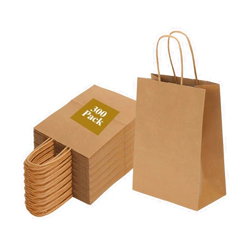 Joybe 300 Pack 6x3.25x8 Inch Small Brown Paper Bags with Handles Bulk, Kraft Paper Gift Bags for Birthday Party Favors Grocery Retail Shopping Business Goody Craft Sacks (Blank Plain Natural, 300pcs)