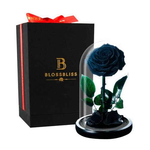 Generic BLOSSBLISS Preserved Flowers Real Black Rose in Glass Dome, Forever Flowers Gift for Wife, Mon, Daughter, Grandma, Eternal Flowers for Mothers Day, Valentine's Day, Thanksgiving Day, Birthday