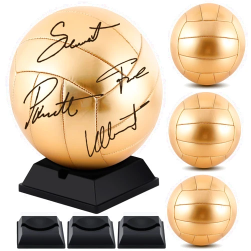Hiboom 4 Pcs Gold Autograph Volleyball with Display Stand Air Pump for Trophies High School College Anniversary Coaching Gift Awards Championship Party (Volleyball, Size 5)