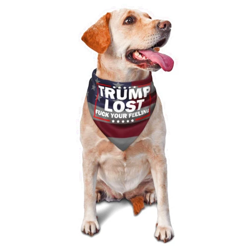 Rqwaaed Trump Lost 2020 Fuck Your Feeling Triangle Dog Bandana Scarf Accessories for Pet Bibs