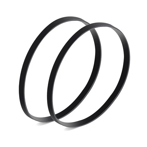 FNKTQL Replacement Style R Belts for Eureka 4870, Smart Vac Models 4870 4872 4874 4875 4880 4885 Series,Replaces Part# 61110A 61110B 61110C 61110 (2 Pack)