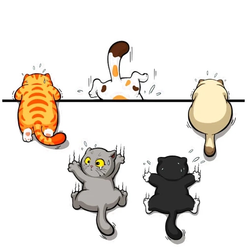 Fsforcar 5Pcs Scratch Cat Vinyl Car Stickers, Multi-Color Cats Scratch Cover Funny Bumper Decals for Auto, Truck, Motorcycle, Helmet (Medium)