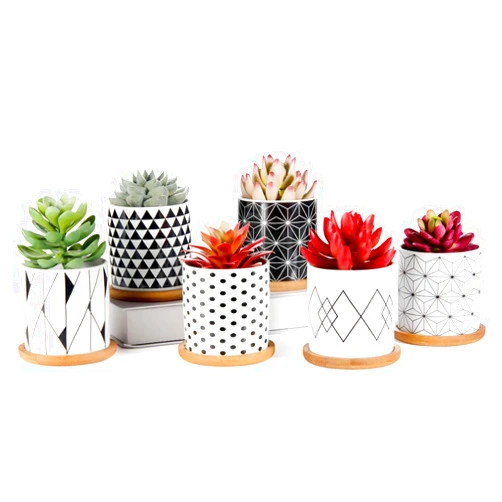 Laerjin Succulent Pots 6 Pack, Laerjin 3 Inch Succulent Planters with Drainage and Bamboo Tray, Geometric Patterns Ceramic Small Pots for Baby Plants, Cactus, Herbs- Plants Not Included