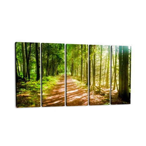 PLWDFPSEJGSLR 5 Panels Art Wall Decor Sunlight streaming through the est onto a trail in Door County Artwork Modern Canvas Prints Office Bedroom Home Decor Framed Painting Ready to Hang (60Wx32H)