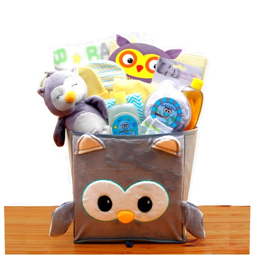 Gift Basket Dropshipping A Little Hoot New Baby Gift Basket - Baby Gift
