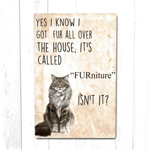 Bodyard Vintage Metal Tin Sign Maine Coon Poster, Cat Poster, Cat Lover Gift Vintage Decor Poster, Tin Sign Poster Vintage Metal Signs for Bar Music Club Man Cave Room Wall Decor 5.5x8 Inch