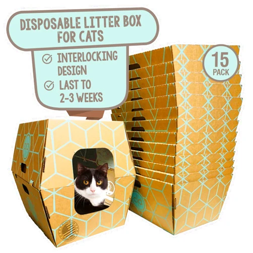 Cats Desire Disposable Litter Boxes Disposable Litter Box for Cats 15 Pack Tall Sides Large19 L x17 W x 17