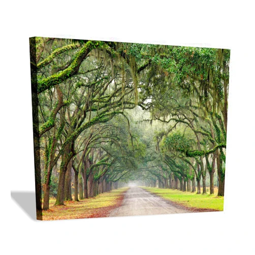 Hardy Gallery Oak Tree Canvas Wall Art: Green Landscape Artwork Forest Picture Painting Small Size for Bathroom (16'' x 12'' x 1 Panel)