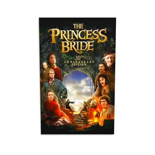 Thcbme The Princess Bride Movie Posters 1987 Romantic Film Canvas Prints Paintings for Wall Decorations Wall Art Paintings Canvas Wall Decor Home Decor Living Room Decor Aesthetic 12x18inch(30x45cm) Unfram