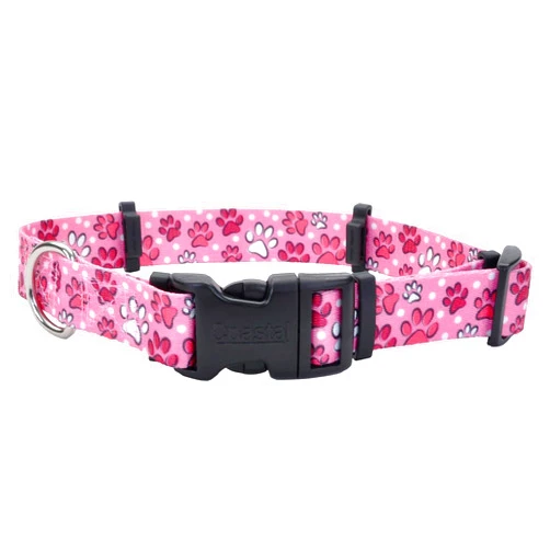 Coastal Pet SecureAway Collar Protector for Flea Collars - Adjustable pet Accessory - Protective Flea Collar for Dogs & Puppy - Multi Paws, 1