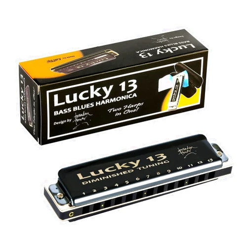 East top Lucky 13 Bass Plus Blues Harmonica 13 Holes Diatonic Harp Mouth Organ Professional Musical Instruments Diminished C Key harmonica for Adults