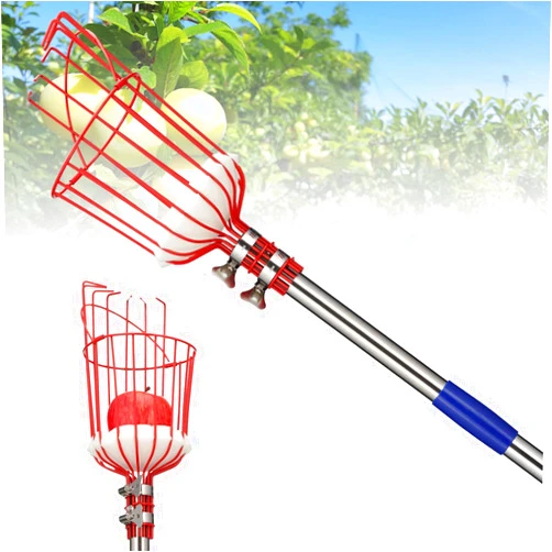 BsBsBest Fruit Picker Pole with Basket, Telescoping Fruit Picker Tool with Long Handle, 35-65 Inch Adjustable Apple Avocado Orange Picker, Stainless Steel Fruits Catcher Tree Picker