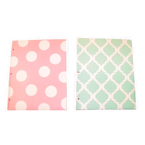 Studio C Carolina Pad Set of 2 Poly Folders ~ Pattern Play (Pink Polka Dot, Green and White Design)
