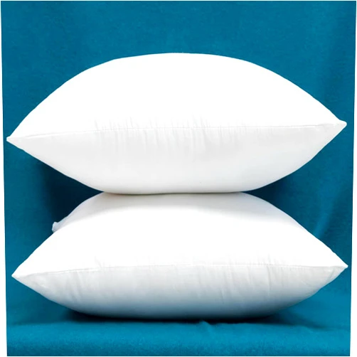 Warmwithann Set of 2 100% Cotton Fabric Plump Throw Pillow Inserts, Down Alternative Decorative Couch Pillow Inserts, 18 X 18 Inches