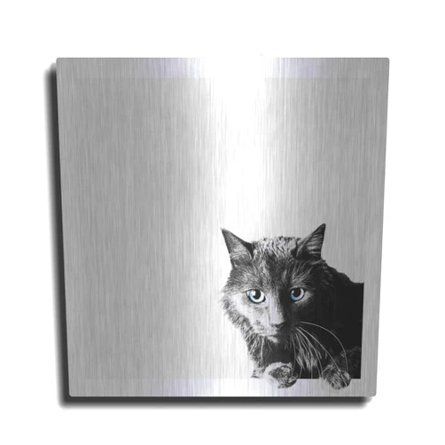 Luxe Metal Art 'Inquisitive' by Jon Bertelli Metal Wall Art, 12