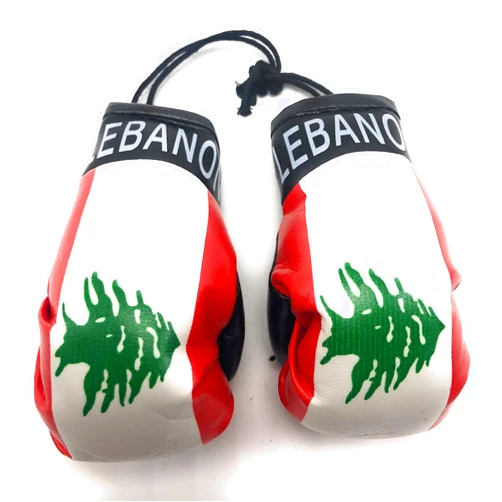 ZEYUMEE Red Hat Ent Hanging Car Mirror Mini Boxing Gloves (Lebanon)