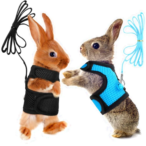 SATINIOR 2 Pieces Guinea Pig Clothes Baby Ferret Rats Hamster Soft Mesh Harness Leash Vest Set with Bell for Guinea Pigs, Hamster, Ferret, Rabbit, Chinchilla and Similar Small Animals(Blue, Black,M)