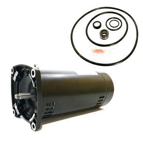 Puri Tech Replacement Motor Kit for Sta-Rite Dura-Glas 1.5HP P4RA6F-187L AO Smith USQ1152 with GO-KIT-38