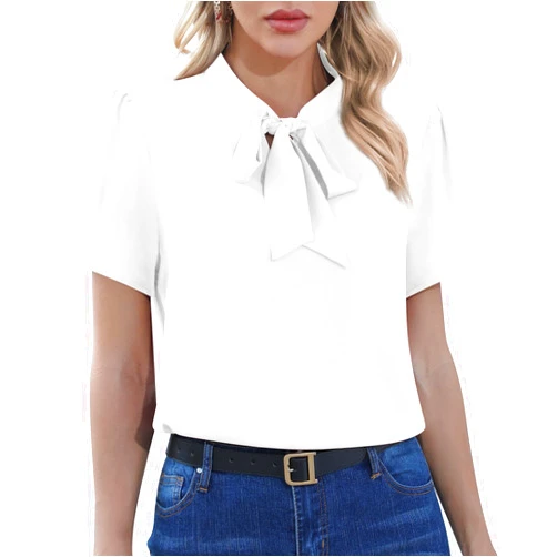 CZYINXIAN Womens Dressy Chiffon Blouse Business Work Casual Tie Neck Shirt Tops