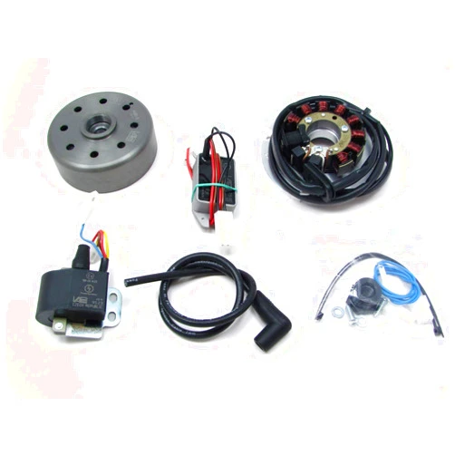 CRU Products Powerdynamo (MZ-B) VAPE Ignition Stator System Compatible with 1969-73 CT1 CT2 CT3 1.1kg DC