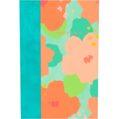 B&H Español Editorial Staff Biblia Reina Valera 1960 Letra Gigante. Piel fabricada, negro / Giant Print Bible RVR 1960. Bonded Leather, Black (Spanish Edition)