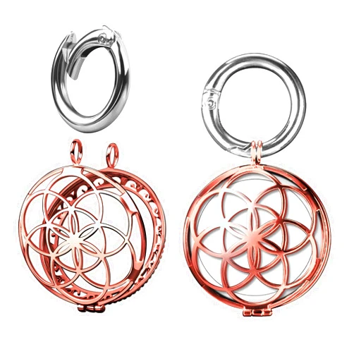 VIIVY VIYIV Metal Keychain for Apple AirTag Protective Case Holder Key Ring Dog Luggage Bike - Rose Gold