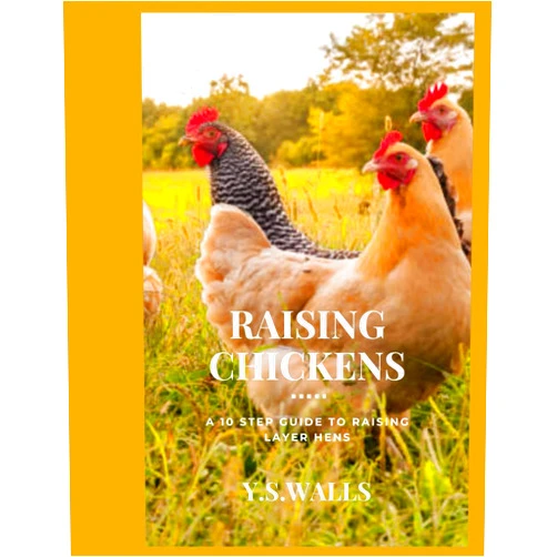 Y. S. Walls Raising Chickens: A 10 Step guide to Raising layer Hens