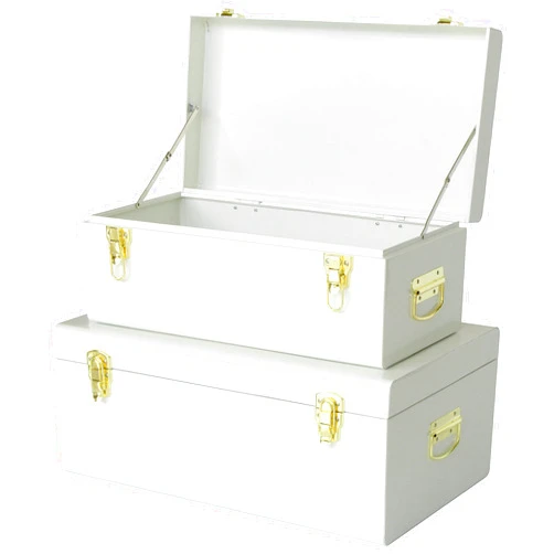 Vixdonos Metal Trunk Decorative Storage Box Set of 2 College Dorm Chest with Handle (White)