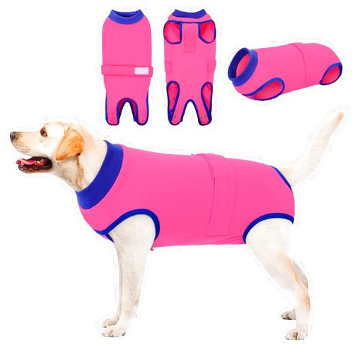 Queenmore Recovery Suit for Dogs Cats After Surgery,Dog Surgical Recovery Suit Onesie,Anti Licking Pet Female Spayed Neutered Puppy Surgical Clothes for Abdominal Wounds, Substitute E-Collar & Cone