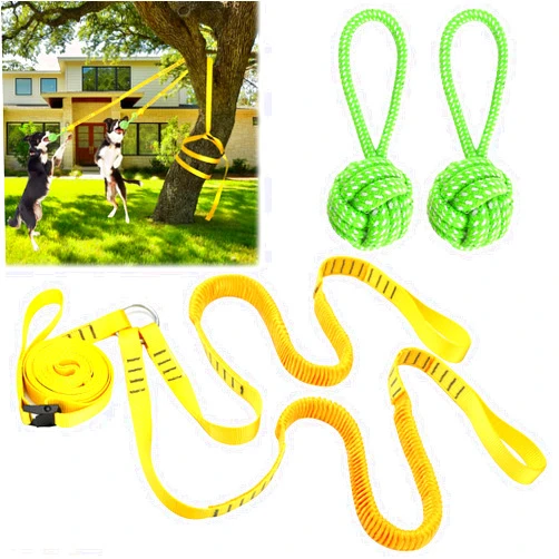 HOKINETY Dog Hanging Bungee Tug Toy for Two Dogs: Interactive Tether Tug-of-War for Pitbull Small to Large Dogs to Exercise - Durable Retractable Tugger Dog Rope Toy with 2 Chew Rope Toys