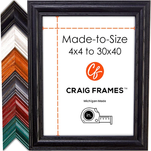 Craig Frames Custom Picture Frames for Odd Picture Frame Sizes, Traditional Medium Wooden Frame Style, Wall Decor & Tabletop