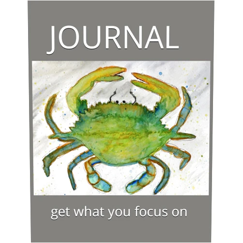 Kristen Williams JOURNAL: get what you focus on