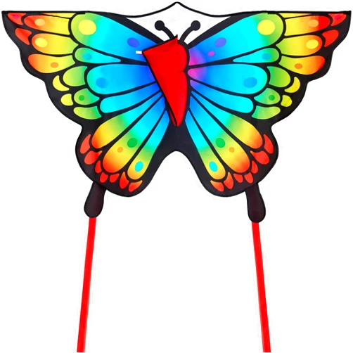 JOYIN Rainbow Butterfly Kites for Kids and Adults, Easy to Fly Large Single Line Kites for kids - 55