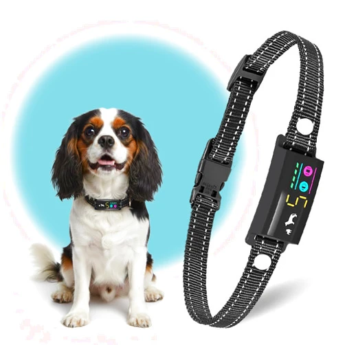 TrainTail No Shock Bark Collar for Small Dogs 8-40 lbs - Beep & Vibration, Smart Screen, 5 Sensitivity, Anti-False Trigger, Magnetic Rechargeable, IP67 Waterproof, Black/Black
