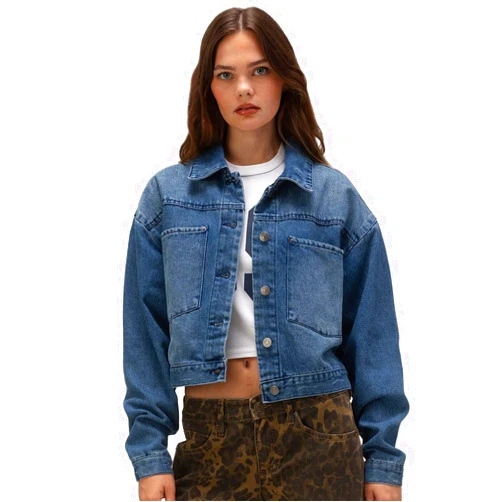 Rsq Denim Jacket